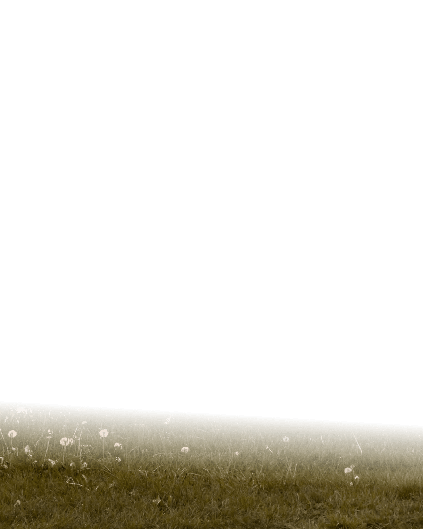 Grass png