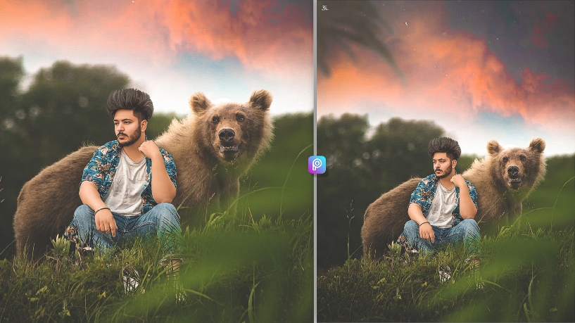 Bear editing background