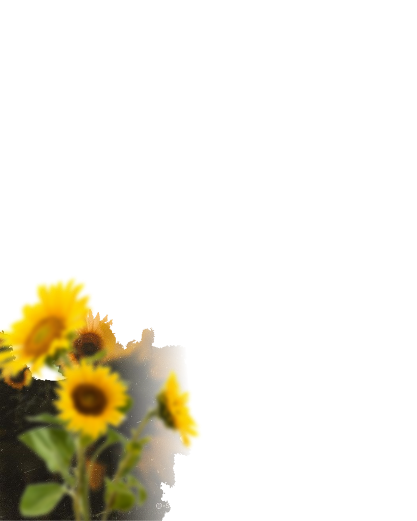sunflower editing background