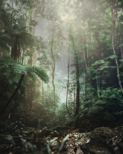Jungle editing background