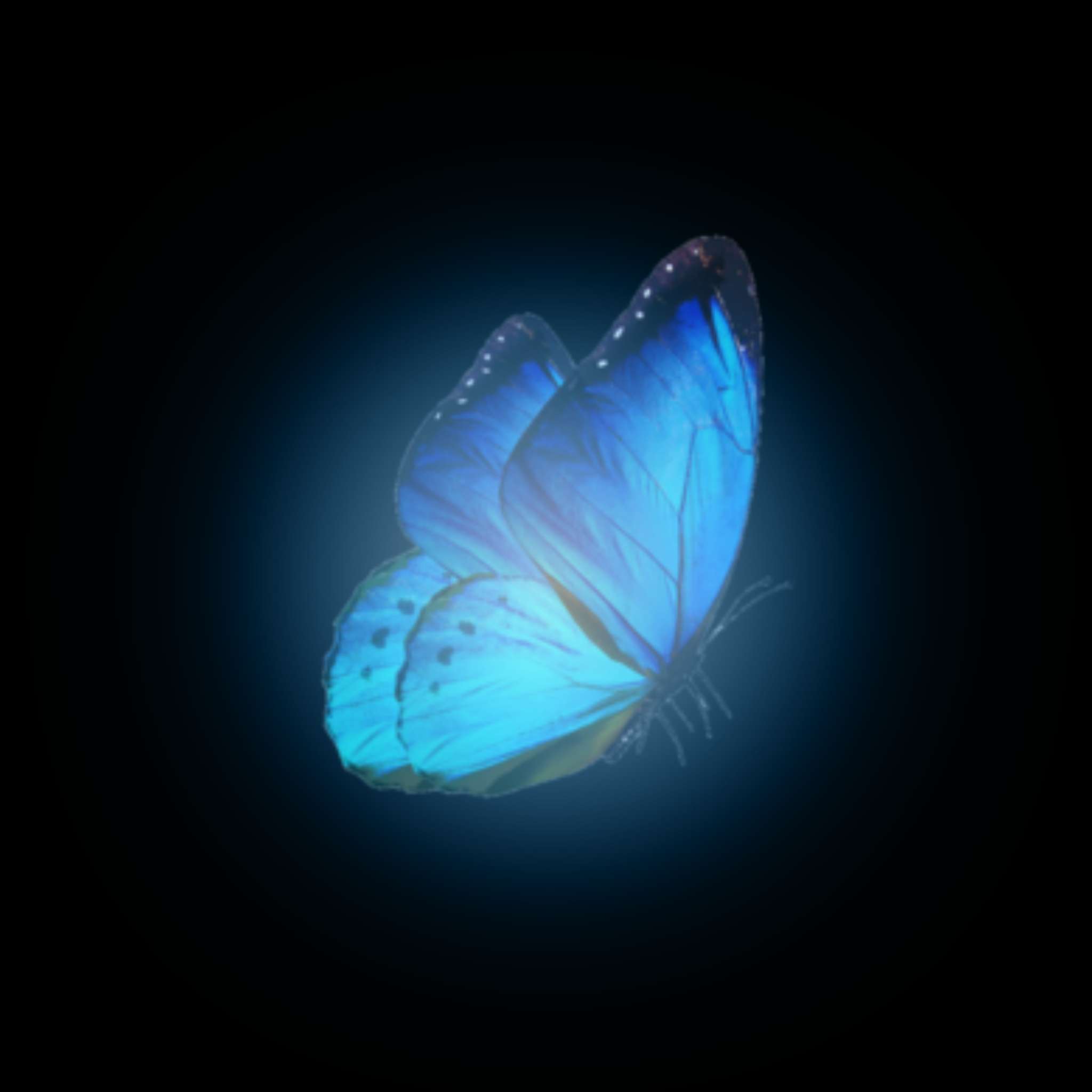 GLOWING BUTTERFLY PNG