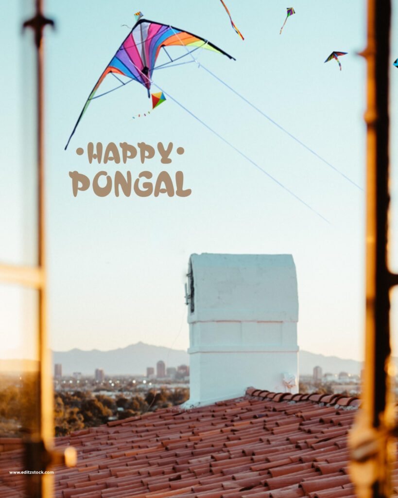 Happy pongal editing backgrounds