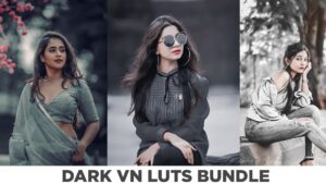 Dark black vn luts free | Free Dark Vn Luts Bundle