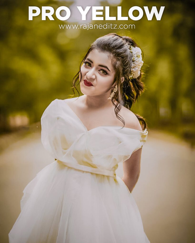 Pro yellow preset Lightroom | Lightroom Pro yellow preset