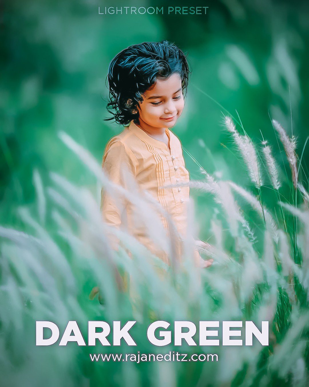 Lightroom dark green preset