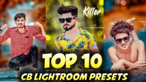 Top 10 lightroom presets