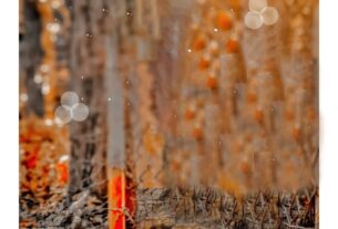 Miss You Photo Editing Background Broken For Cb Picsart Download Free