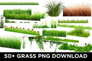 Grass hd png download | Grass png image with transprent backgrounds | picsart grass png