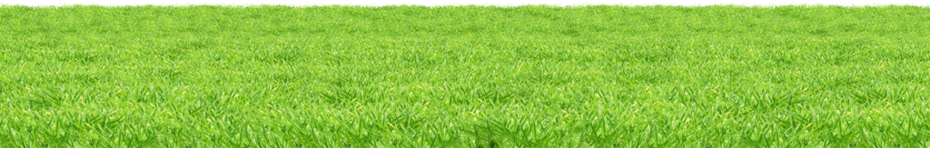 Transparent Background Grass Png , Png Download Real Grass Png, Png Download (2)