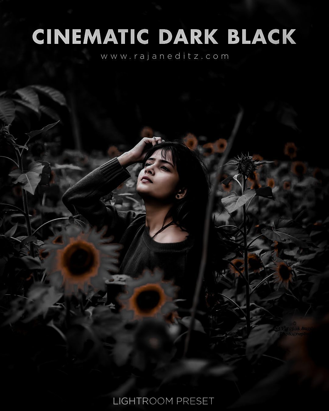 Cinematic dark black lightroom preset