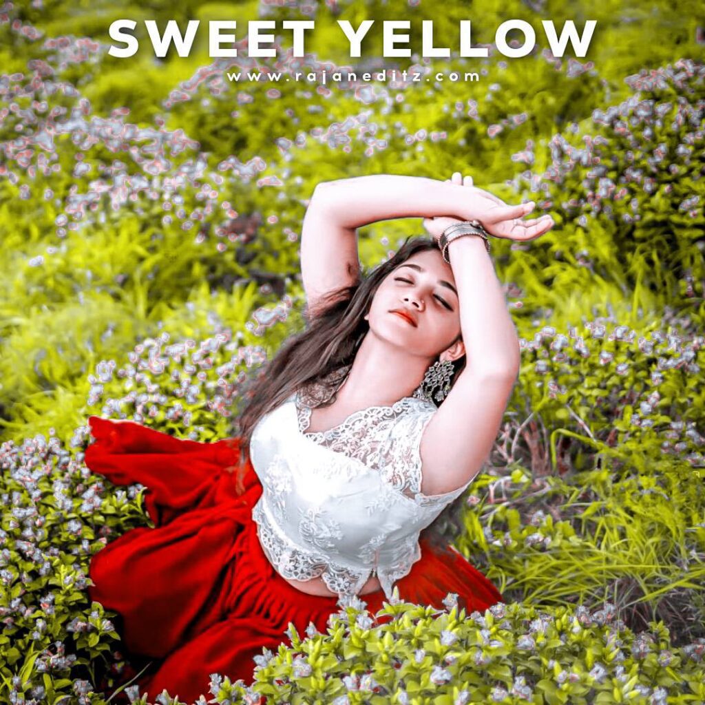 Sweet yellow lightroom presets