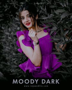 Moody Dark Lightroom Preset