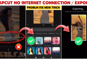 Capcut Export No Internet Connection Problem Solved