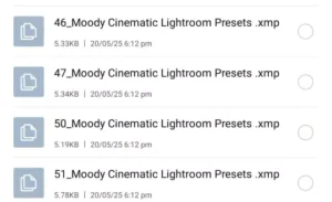 Top 50+ Moody Cinematic Lightroom Presets 2025