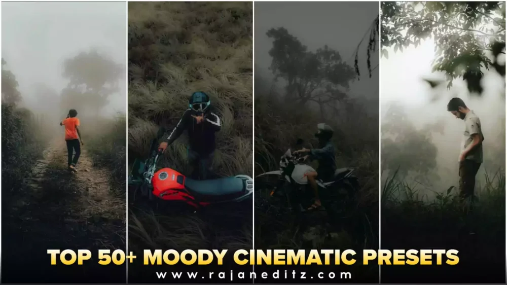 Top 50+ Moody Cinematic Lightroom Presets