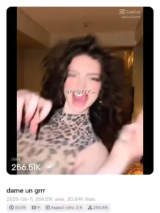 Dame un grrrr Capcut Template Free