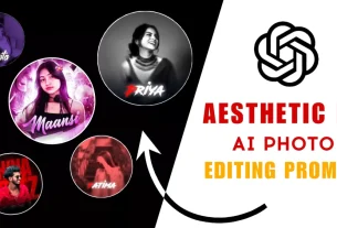 Aesthetic Dp Chatgpt Ai Photo Editing Prompts