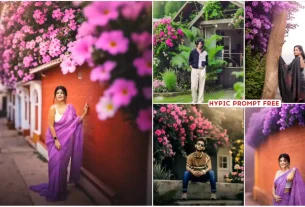 Hypic Ai Photo Editing Prompt