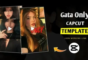 Gata Only New Capcut Template Link 2025