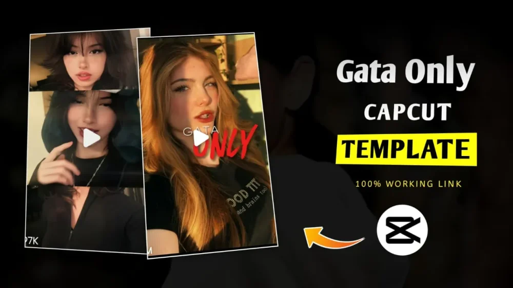 Gata Only New Capcut Template Link 2025