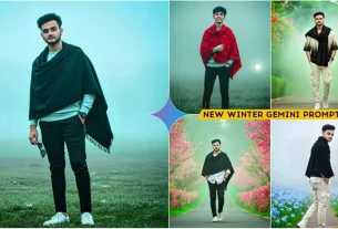 Google Gemini Winter Ai Photo Editing Prompts Free
