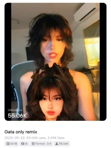 New X Remix Capcut Template