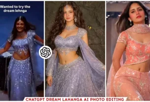 Chatgpt Dream Lehenga Ai Photo Editing Prompt