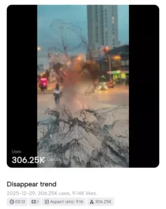 Stardust Effect Capcut Template Link