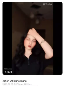Trending Dil Lagana Mana Tha Capcut Template