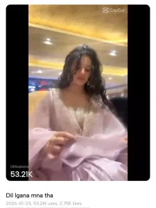 Viral Dil Lagana Mana Tha Capcut Template
