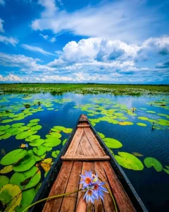 Lake Boat Ai Photo Editing Prompt With Background