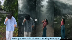 Moody Aesthetic Ai Photo Editing Prompt
