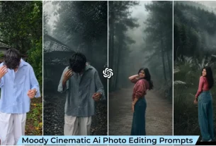 Moody Aesthetic Ai Photo Editing Prompt