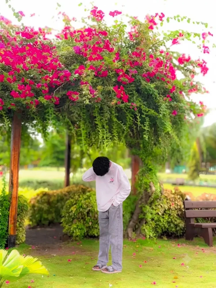 Aesthetic Bougainvillea Flower Ai Photo Editing Prompts