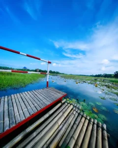 Blue Sky Ai Photo Editing Background