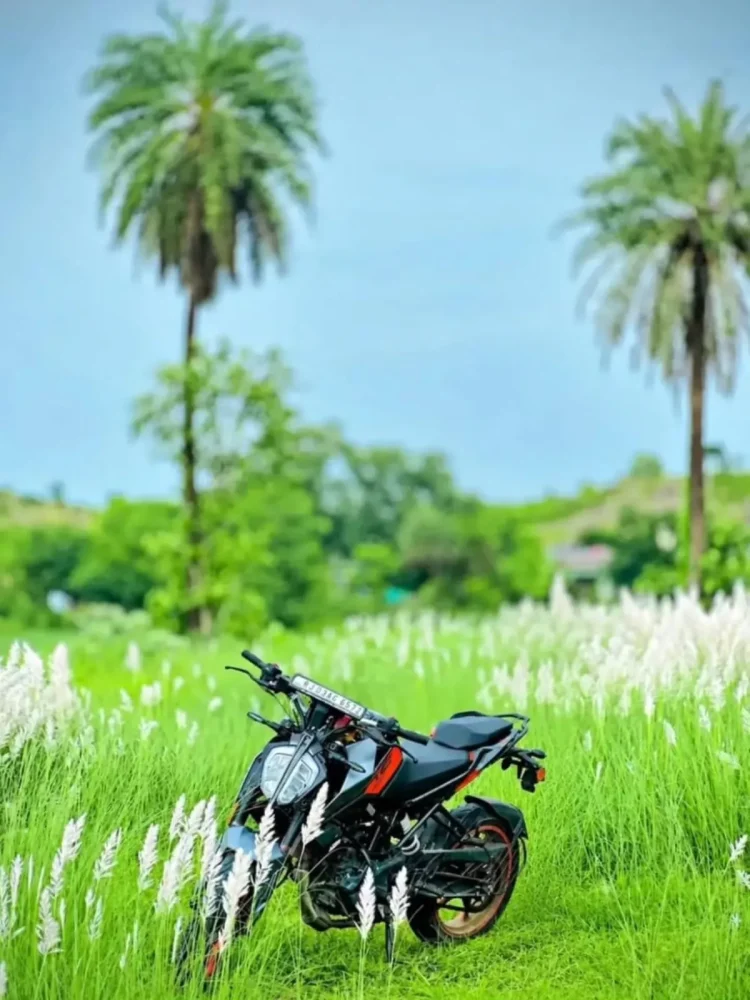 Bike In Kash Flower Ai Photo Editing Background